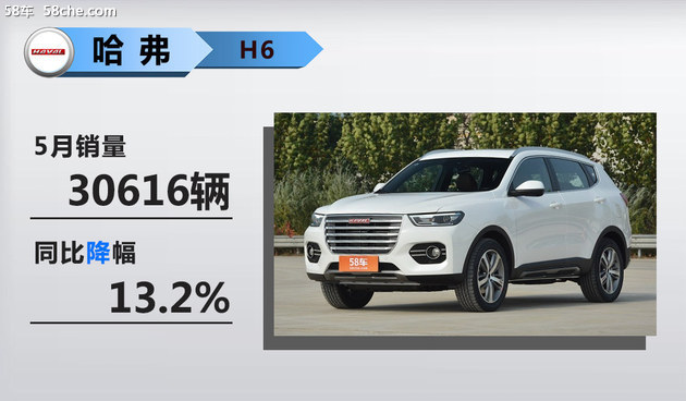 NN,SUV